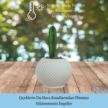 Evene Mini Çiçek Saksı Küçük Sukulent Kaktüs Saksısı Ince Çizgili Spiral Model