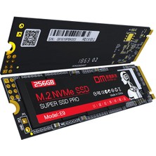 Dm E9 1tb Pcı-E GEN3X4 M.2 Nvme SSD 2000MB/SN Okuma 1600MB/SN Yazma