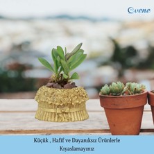 Evene Mini Çiçek Saksı Küçük Sukulent Kaktüs Saksısı Çiçekli Fiyonklu Model