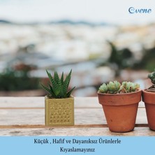 Evene Mini Çiçek Saksı Küçük Sukulent Kaktüs Saksısı Mini Kare Desenli Model