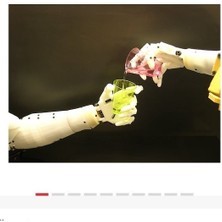 HLS-NC Inmoov Hand  Robot El / Biyonik  El Projesi / Plastik Set