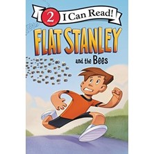 Flat Stanley And The Bees