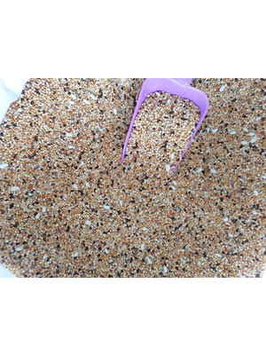 Asya Petshop  1- kg Açık Kuş Yemi