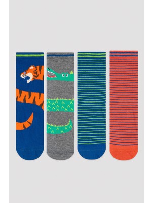 Penti Erkek Çocuk Safari 4Lü Soket Çorap