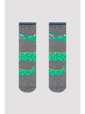 Penti Erkek Çocuk Safari 4Lü Soket Çorap