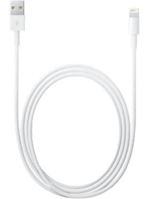 Apple USB 2m Lightning Kablo MD819ZM/A