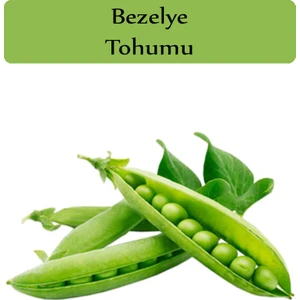 Zencefil Organik Bezelye Tohumu 1 Paket