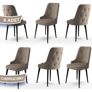 Concept Enoa Serisi , 6 Adet Sandalye, Siyah Gürgen Ayak