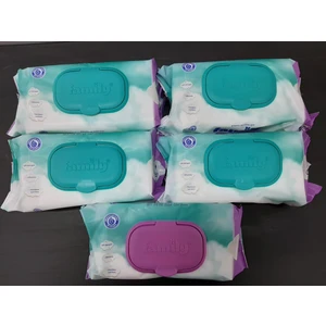 Islak Havlu 100'lü 5 Adet