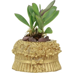 Mini Çiçek Saksı Küçük Sukulent Kaktüs Saksısı Çiçekli Fiyonklu Model