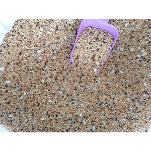 Asya Petshop  1- kg Açık Kuş Yemi