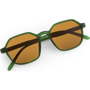 Bilge Karga Sezar Green Brown Erkek Güneş Gözlüğü