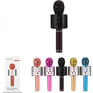 PL-2463 Karaoke Mikrofon