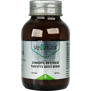 Zencefil Ekstresi 60 Tablet