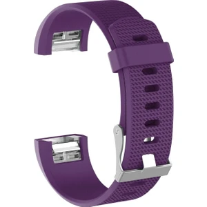 Fitbit Charge 2 Için Silikon Kordon Kayış Mor (L)