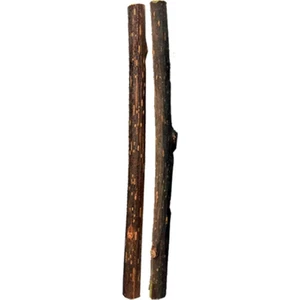 Matatabi Cats Matatabi Stick Medium Doğal Kedi Çiğneme Çubuğu, Kedi Oyuncağı  2'li (Kedi Otu/nanesi Değildir)