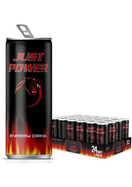Enerji İçeceği, 250 ml (24'lü Paket, 24 adet x 250 ml)