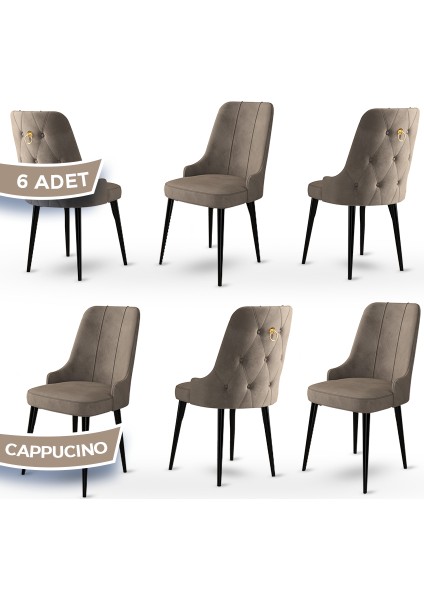 Concept Enoa Serisi , 6 Adet Sandalye, Siyah Gürgen Ayak