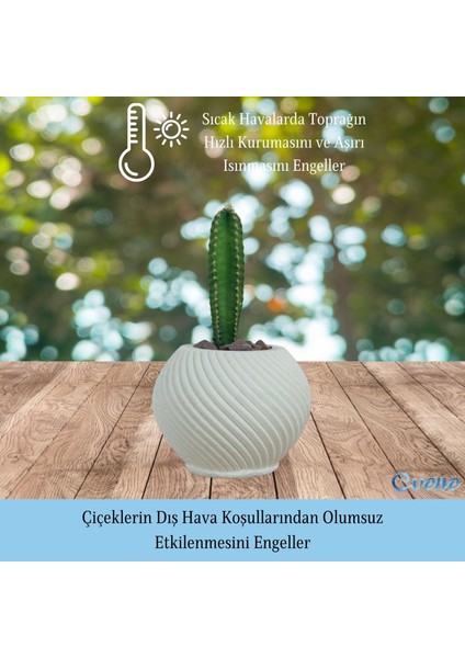 Mini Çiçek Saksı Küçük Sukulent Kaktüs Saksısı Ince Çizgili Spiral Model