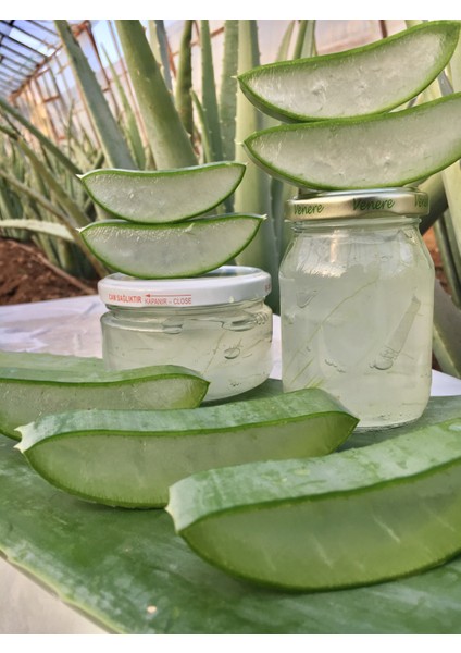 aloe vera jel, doğal alovera jel, 425 ml cam kavanozda, aloe vera fidan hediyeli