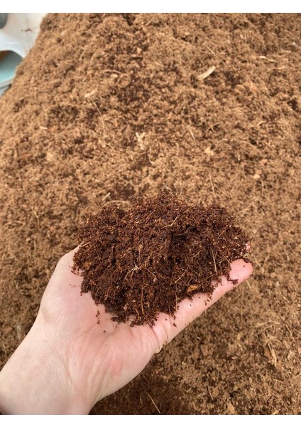 60 - 65 Litre Sıkıştırılmış Hindistan Cevizi Torfu - 4 - 5 Kg Blok İthal Organik Cocopeat Kokopit - Fidancı - Sıkıştırılmış Cocopeat - Çiçek, Bitki, Saksı Toprağı