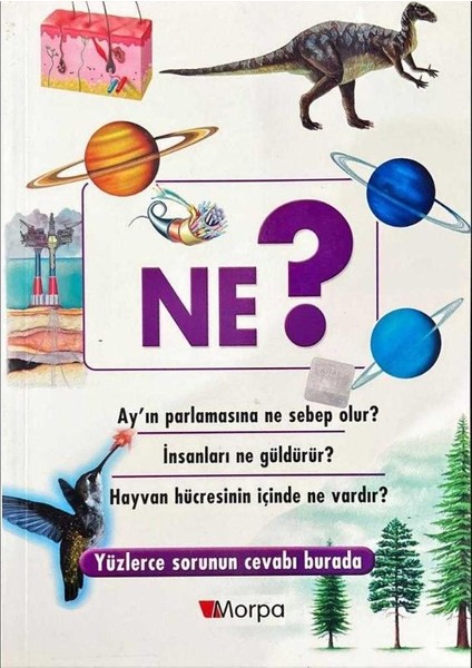 Ne?