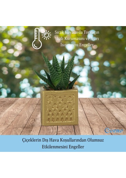 Mini Çiçek Saksı Küçük Sukulent Kaktüs Saksısı Mini Kare Desenli Model