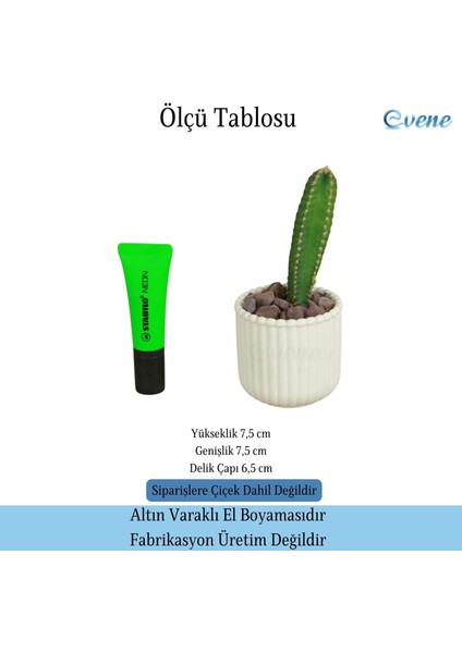 Mini Çiçek Saksı Küçük Sukulent Kaktüs Saksısı Vintage Düz Çizgili Model