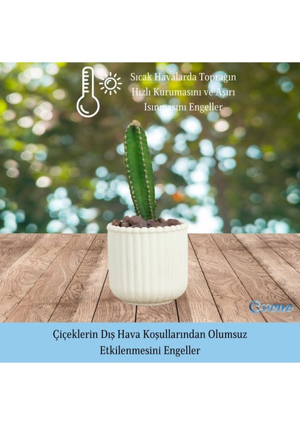Mini Çiçek Saksı Küçük Sukulent Kaktüs Saksısı Vintage Düz Çizgili Model