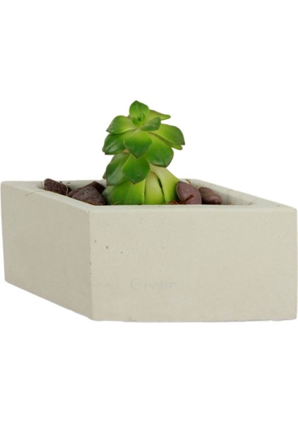 Mini Çiçek Saksı Küçük Sukulent Kaktüs Saksısı Dörtgen Yatay Model