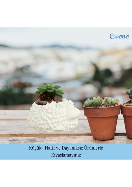Mini Çiçek Saksı Küçük Sukulent Kaktüs Saksısı Sevimli Koyun Model