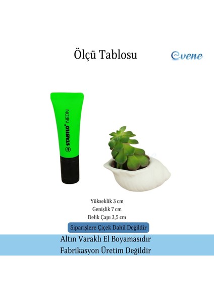 Mini Çiçek Saksı Küçük Sukulent Kaktüs Saksısı Mini Deniz Salyangozu Model