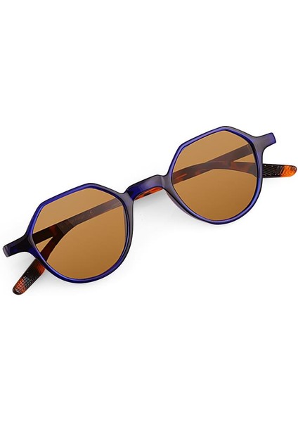 Paula Navy Brown Erkek Güneş Gözlüğü