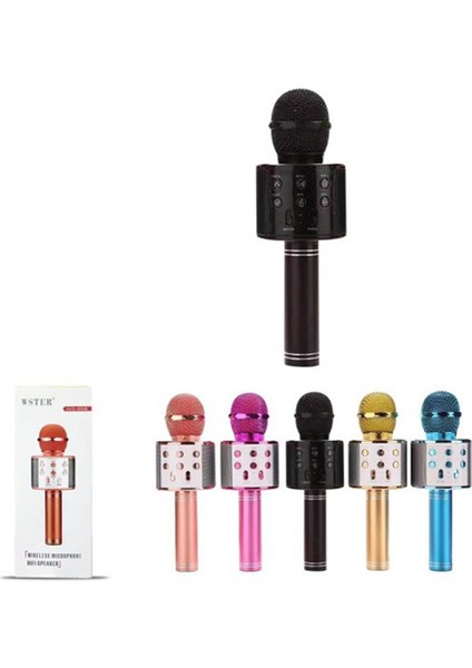 PL-2463 Karaoke Mikrofon