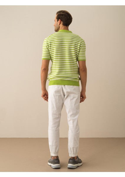 Pamuk Regular Fit Polo Kazak