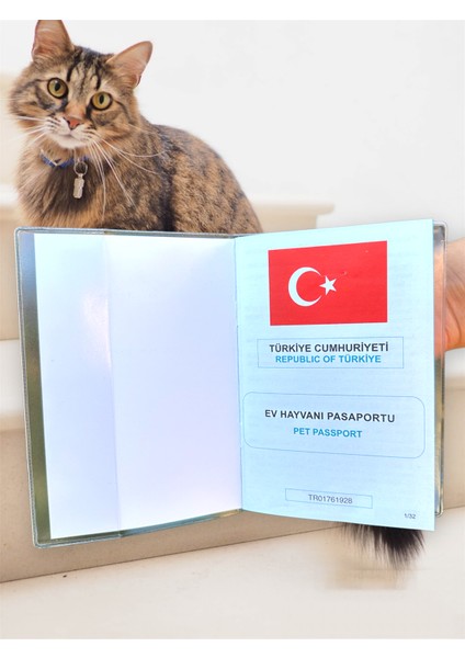 Şeffaf Pet Pasaport Kabı Kılıfı Su Geçirmez Evcil Hayvan Pasaport Kılıfı