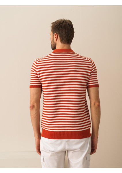 Pamuk Regular Fit Polo Kazak modelleri