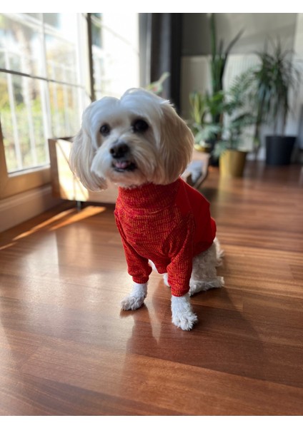 Kırmızı Yarım Balikçi Sweatshirt modelleri