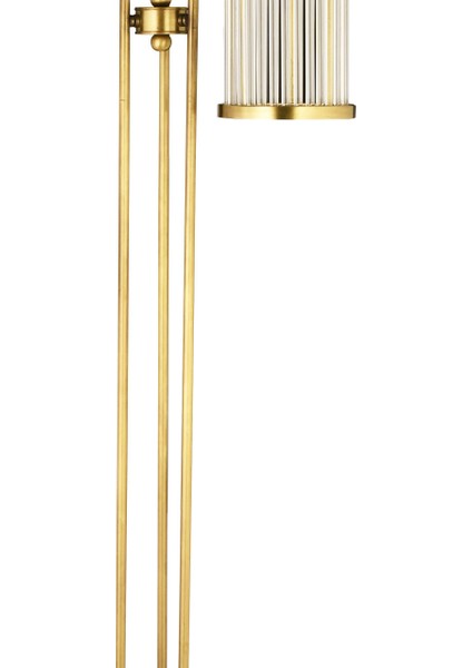 Albinia Sport Özel Çubuk Taşlı 3'lü Lambader Sarı 30X170CM