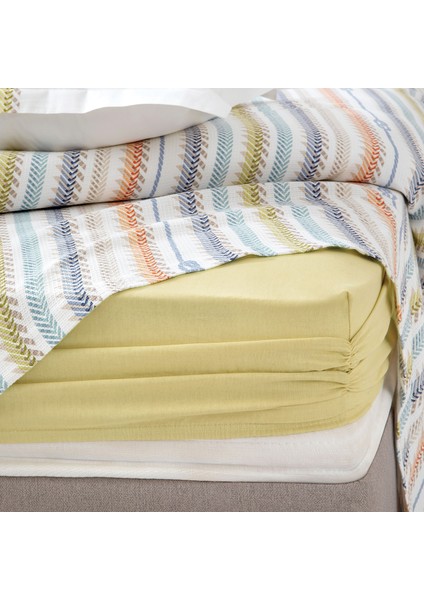 Bedding Benito Çift Kişilik Pike Takımı - Yağ Yeşili
