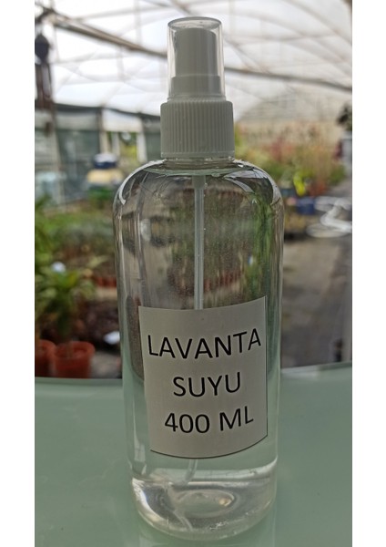 Lavanta Suyu 400 Ml Saf Lavanta Tonik