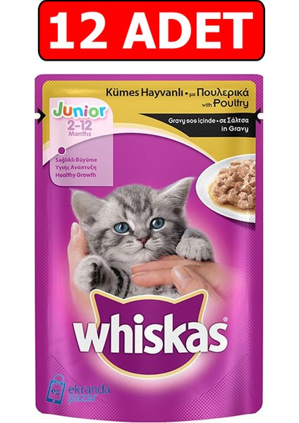 Junior Kümes Hayvanlı Yavru Kedi Yaş Maması 100GR 12 Adet Kedi Islak Mama Pouch Konserve