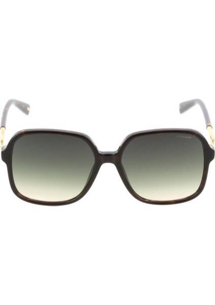 OS3448-02 57 Kadın Güneş Gözlüğü fiyatları