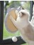 Kedi Tırmalama Tahtası Eğitici Aktivite Oyuncağı (Yurt Dışından) 2