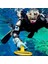 Pulsedive Pointer - 20 cm Büyük Başlıklı Set 5