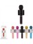 PL-2463 Karaoke Mikrofon 1