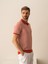 Pamuk Regular Fit Polo Kazak 2
