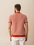 Pamuk Regular Fit Polo Kazak 3