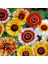 100 Adet Karışık Renk Chrysanthemum Çiçeği Tohumu + 10 Adet Hollanda Gülü Çiçek Tohumu 1