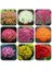 25 Adet Karışık Renk Chrysanthemum Çiçeği Tohumu + 10 Adet Süs Yoncası Çiçek Tohumu 1